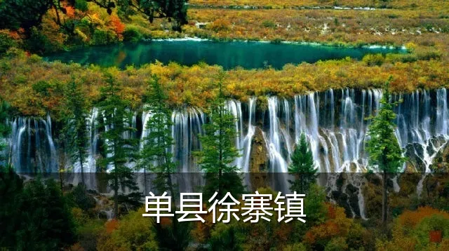 单县徐寨镇