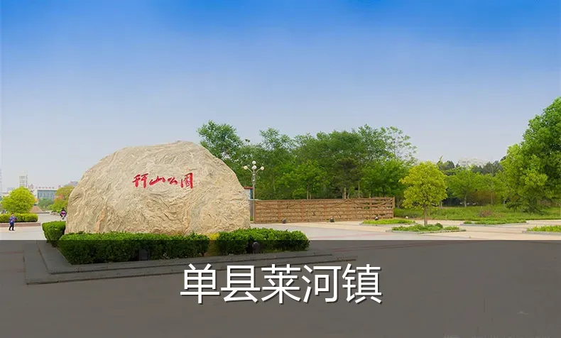 单县莱河镇