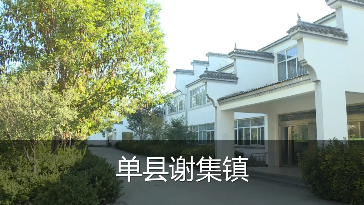 单县谢集镇