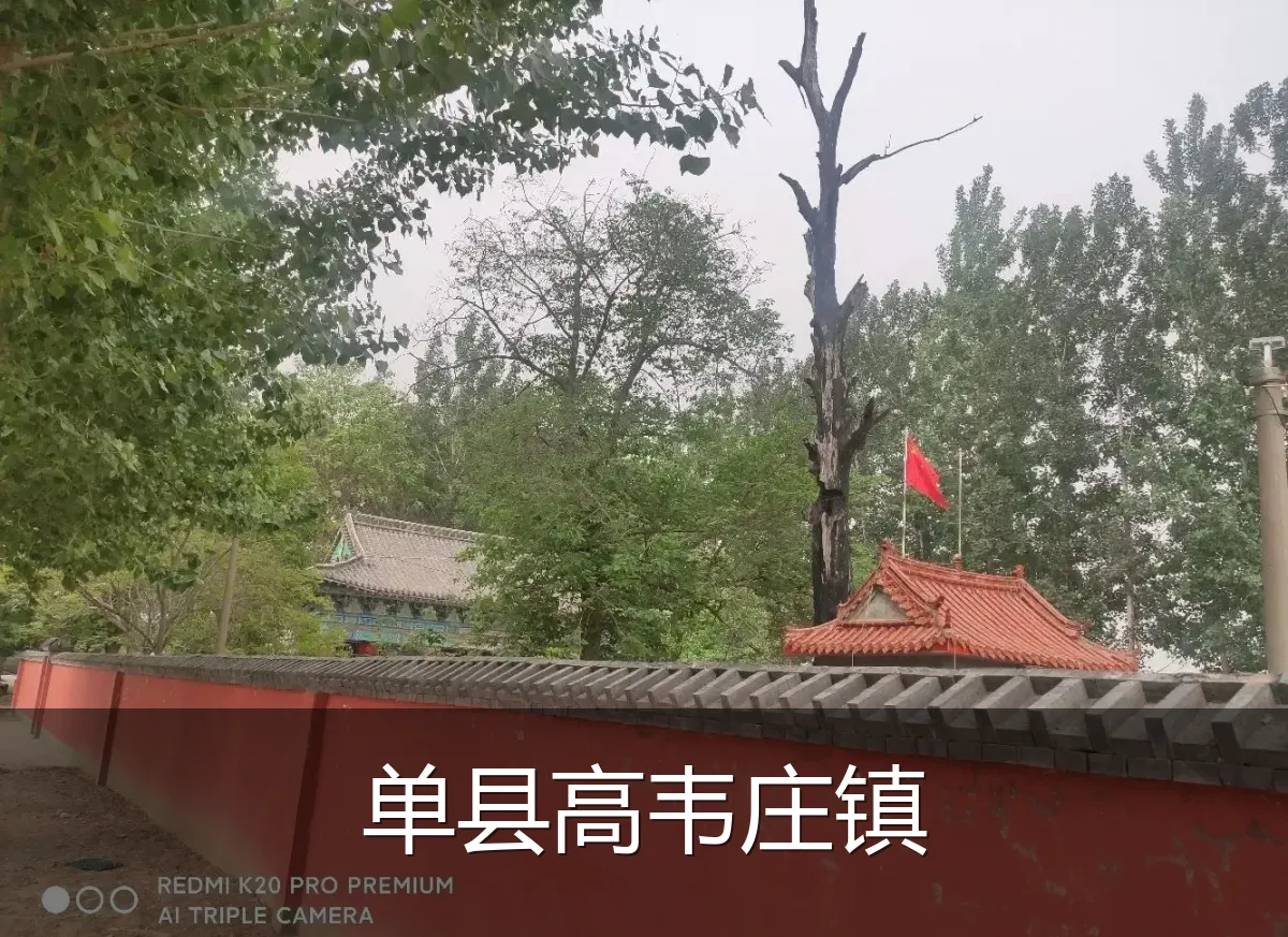 单县高韦庄镇