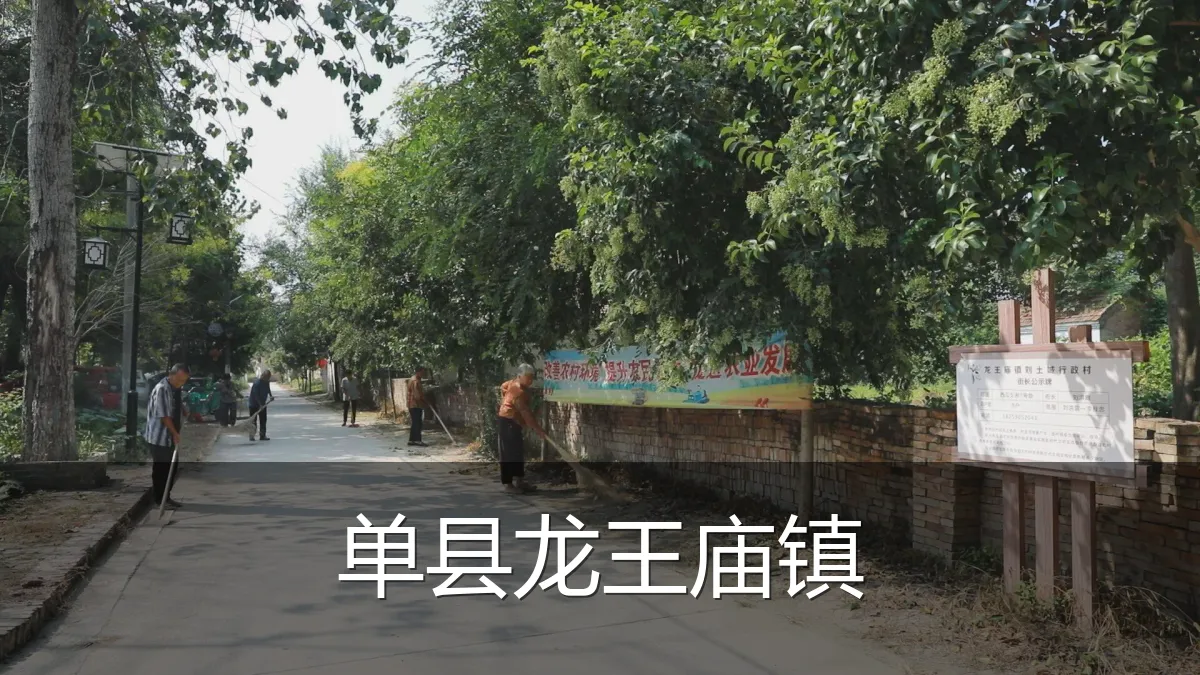 单县龙王庙镇